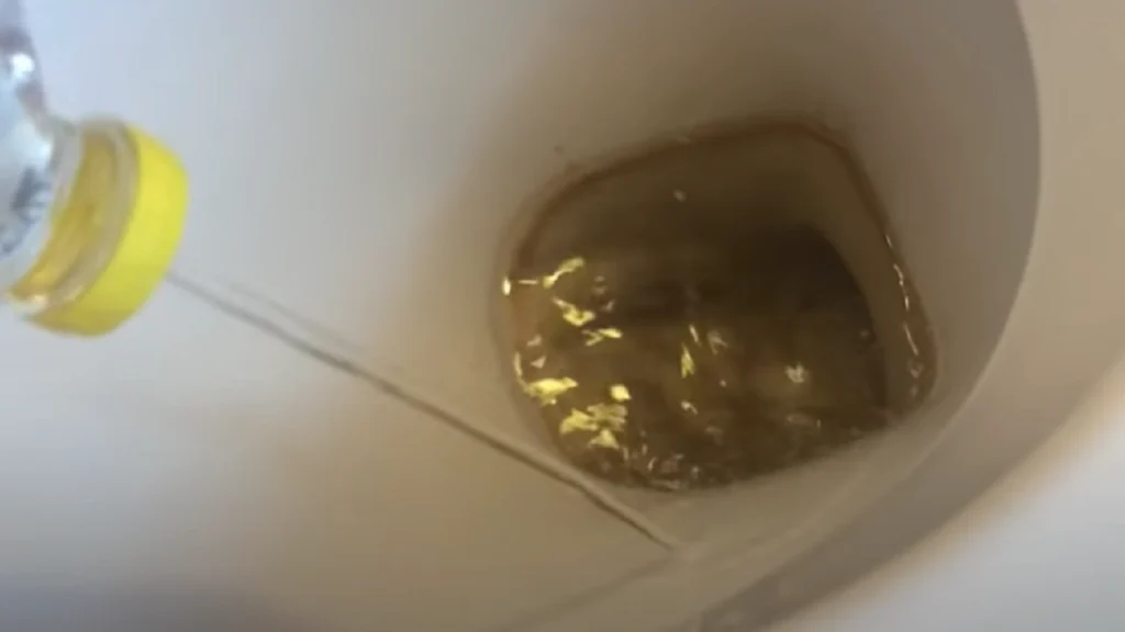 Hun hælder eddike i toilettet – få timer senere er hun målløs over resultatet