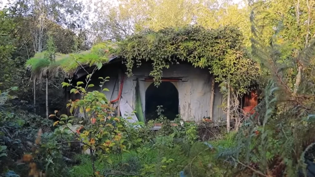 Emma byggede et hus i skoven for blot 7.000 kroner:  Vent og se, hvad der gemmer sig indenfor