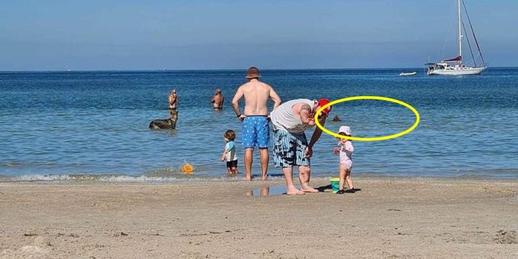 Hvad lurer i baggrunden af australsk families strandbillede? En isnende detalje deler vandene