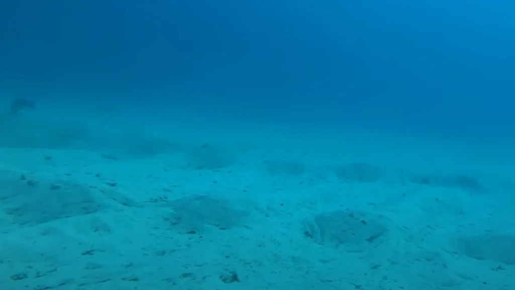 Mand kastede GoPro-kamera ud fra skib: Hvad det fanger, skræmmer folk op fra havet