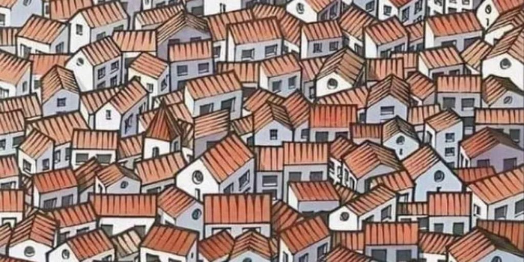 Hvor gemmer katten sig? De bedste finder den på 15 sekunder