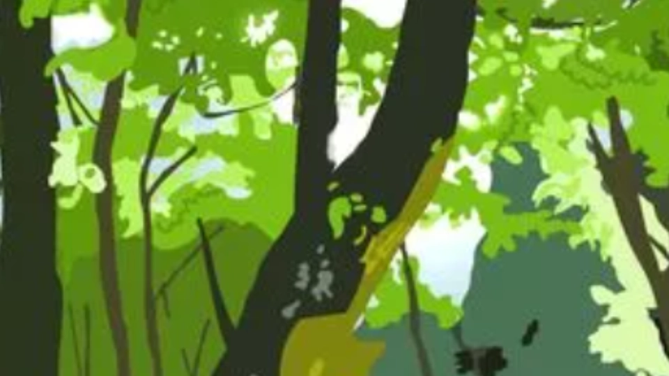 Du skal have falkeblik for at kunne spotte hjorten på billedet: 80 procent kaster håndklædet i ringen