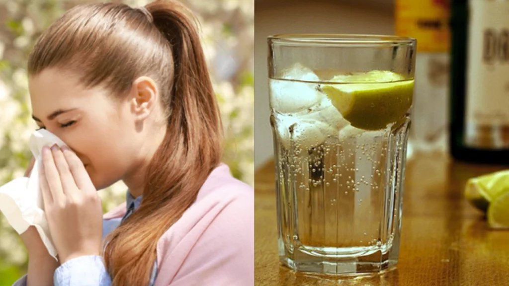 Har du problemer med høfeber? Så bør du drikke en Gin og Tonic eller to