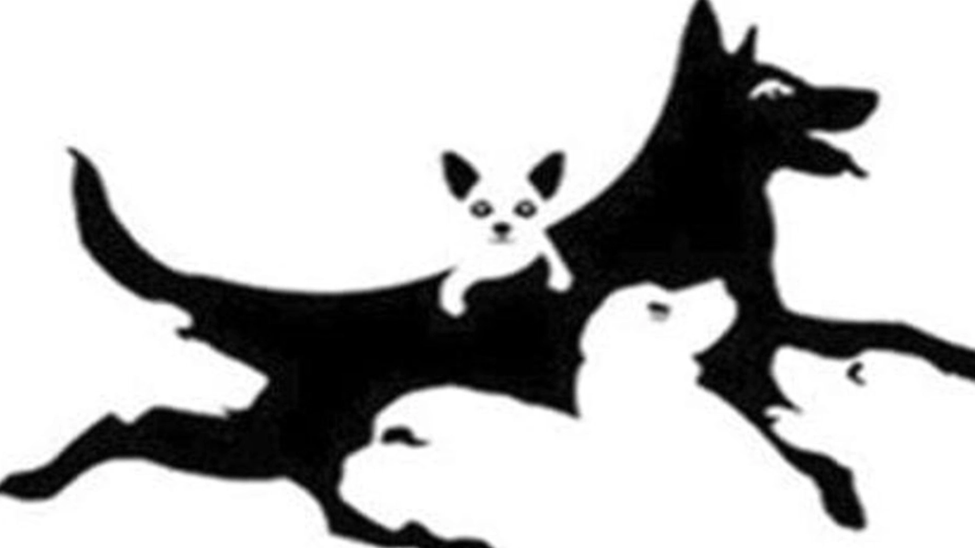 Hvor mange hunde kan du se på billedet? Svaret afslører din mentale alder