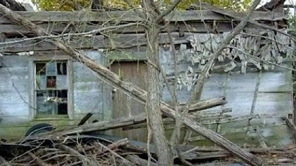 Han købte gammel og forsømt hytte for blot 700 kroner: I dag er den magisk