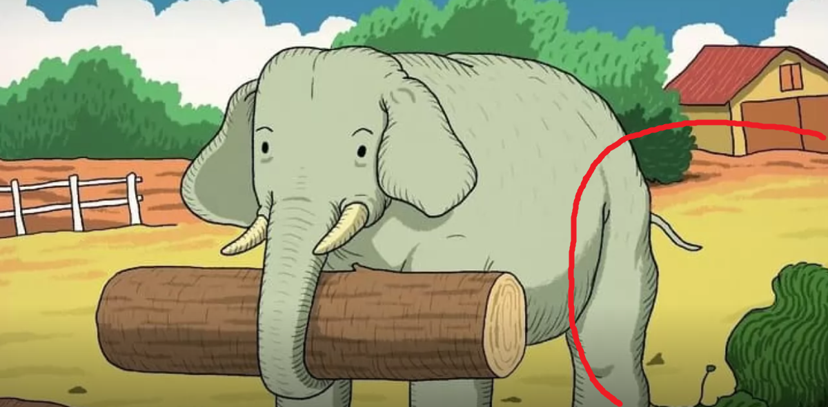 Mange har prøvet at finde hesten, der er gemt på billedet: Meget få kan se den