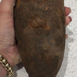 Hundelufter lod hund tage gammel kartoffel med hjem fra gåtur: Fik sig et kæmpe chok, da de opdagede hvad det var