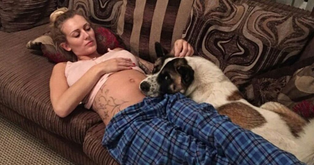 Hund begyndte at opføre sig underligt: Da ejeren fandt ud af årsagen, var hun dybt chokeret