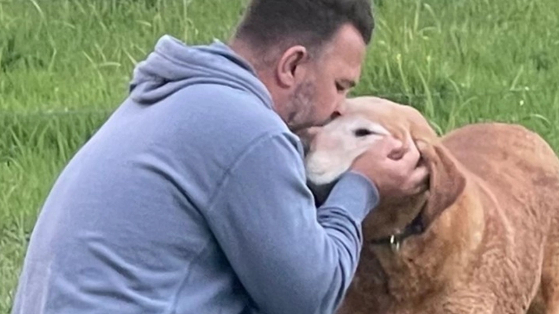 Hunden løb hjemmefra: Da han hentede den på internatet, fik han den tilbage i en pose