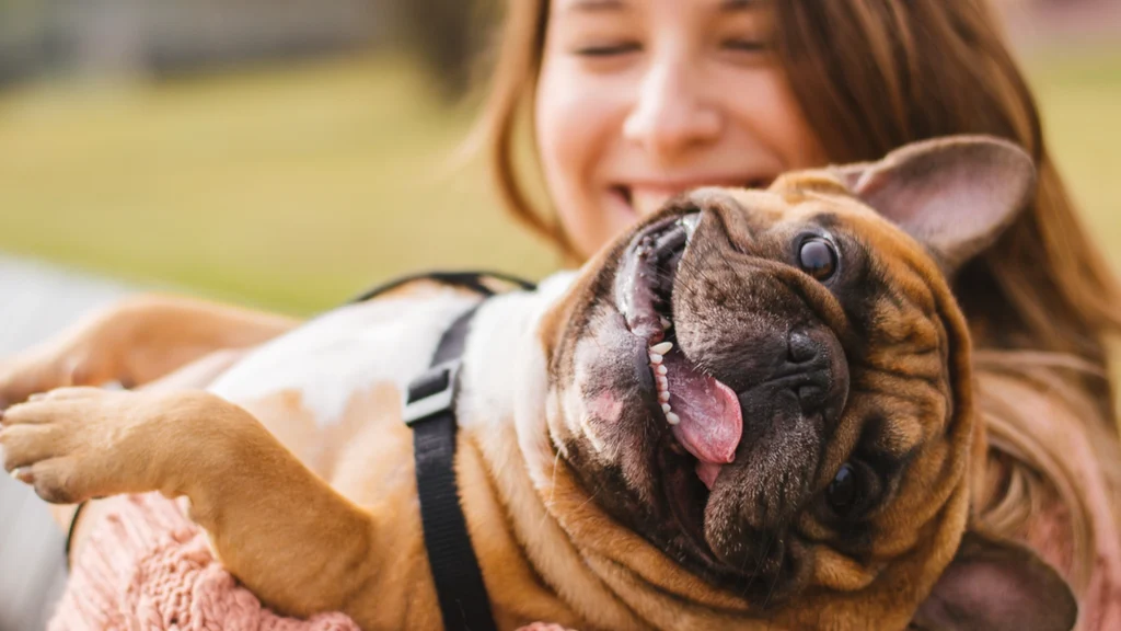 Enhver hundeejer bør vide det: Her er tegnene på, at din hund elsker dig