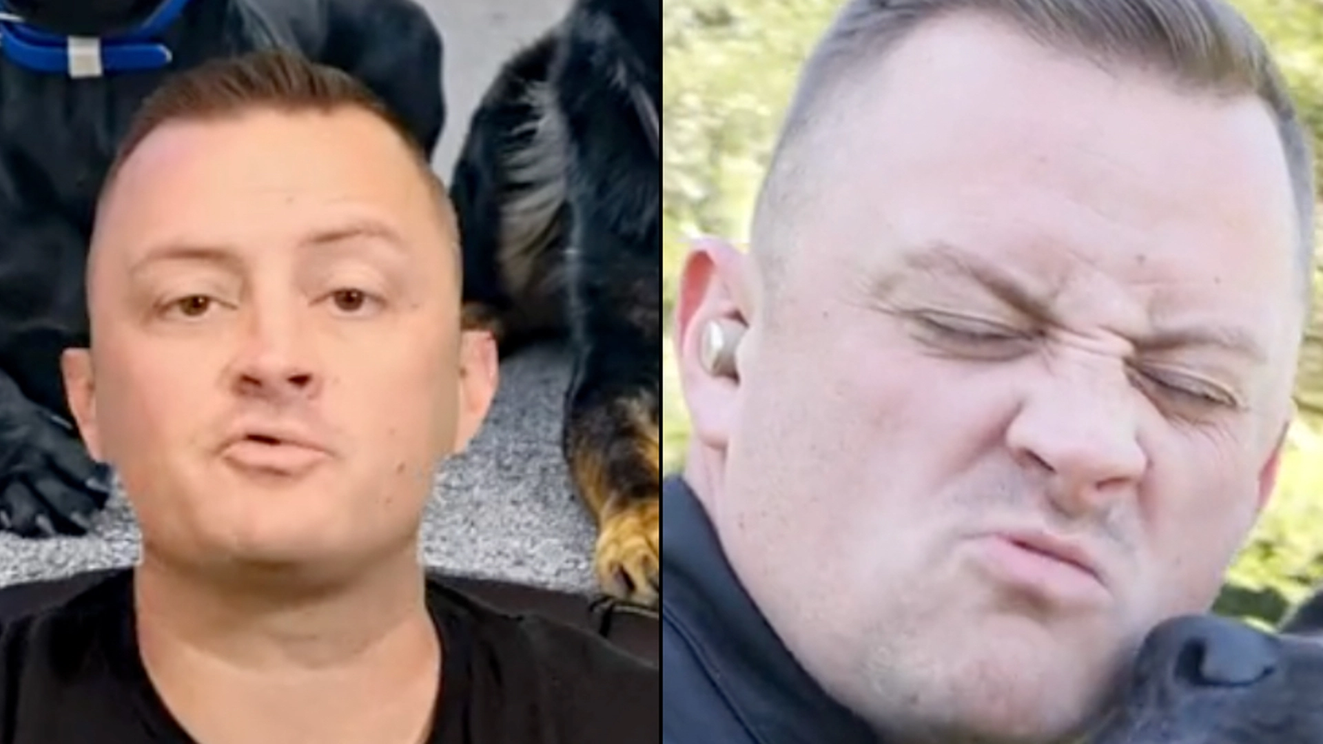 Hundetræner med advarsel mod populær hunderace: Du vil ‘ikke have den omkring børn’