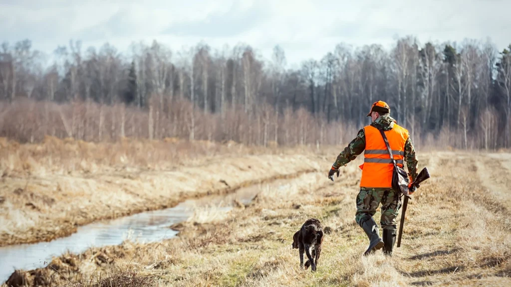 Jægerne efterlader deres hunde til at dø alene: Nu vælter det med massiv kritik mod dem