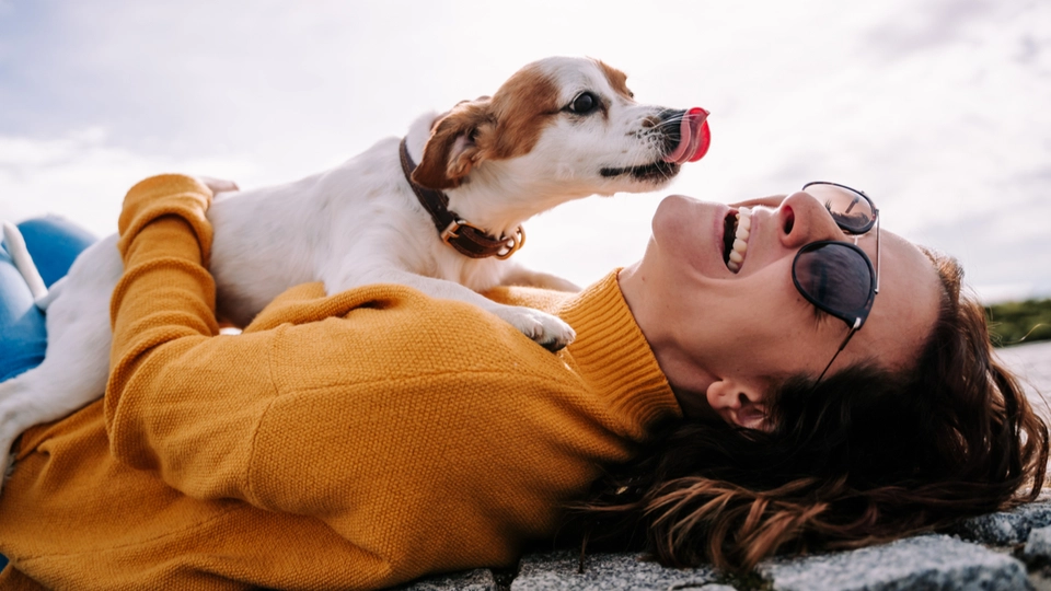 Vidste du det: Hunde forstår vores følelser