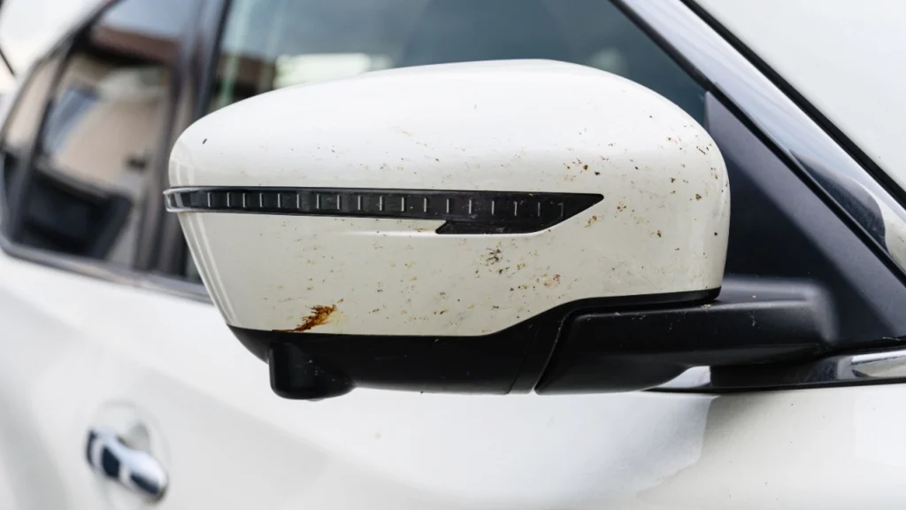 Mange har bemærket det: Derfor er der færre døde insekter på din bil