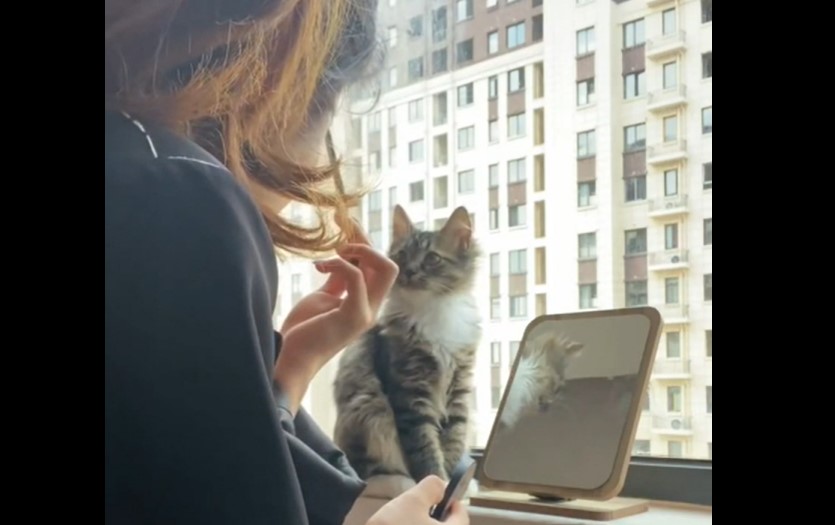 Tog make-up på foran spejlet – så ville katten være med