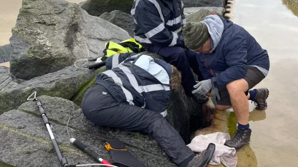 Kvinde går en tur ved stranden: Pludselig så hun et ansigt begravet mellem klipperne