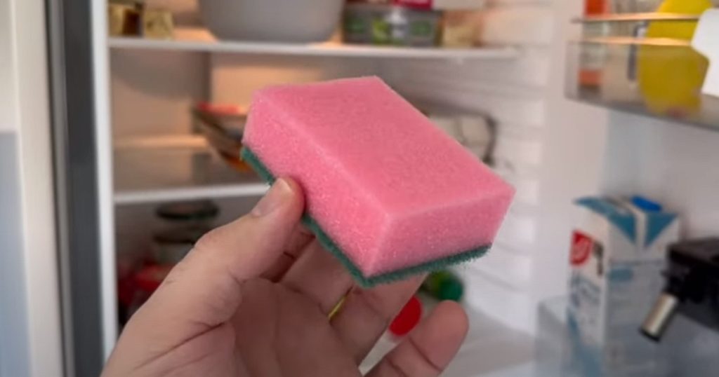 Han lægger en køkkensvamp i køleskabet: Se hvorfor du bør gøre det samme