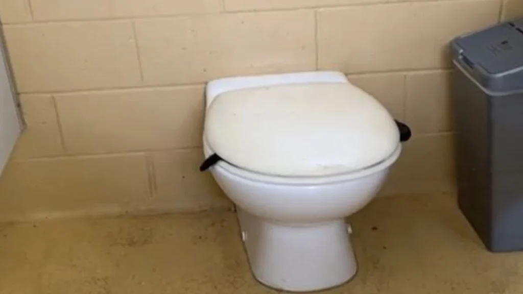 Kvinde gør chokerende fund på offentligt toilet