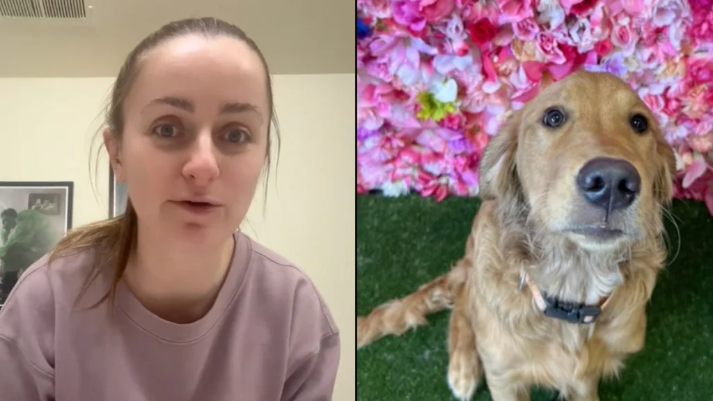 Kvinde hentede sin hund i hundepension: Da de kom hjem, opdagede hun, at noget var helt galt