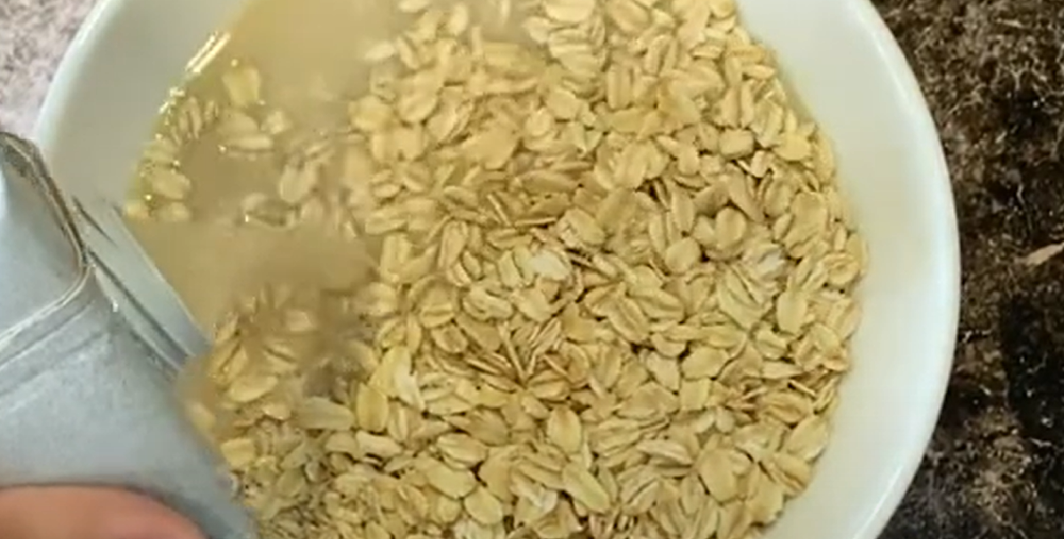 Den findes allerede i dit køleskab: Denne ingrediens gør havregryn til en luksusgodbid