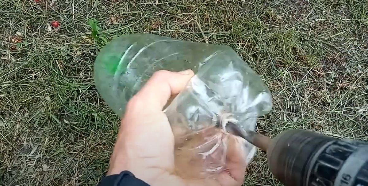 Simpelt trick forhindrer ubudne gæster: Sådan holder du muldvarpe væk fra din have