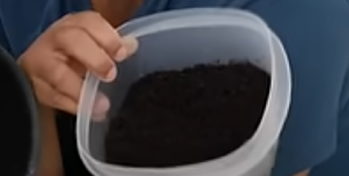Det lyder mærkeligt, men det er genialt: Derfor skal du have en skål med kaffegrums i køkkenet