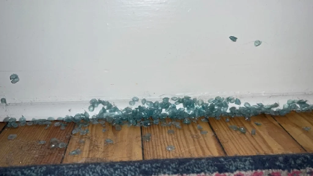 Mand flyttede sammen med kæresten: Kort tid efter opdager han hendes vane og efterlades i kæmpe chok