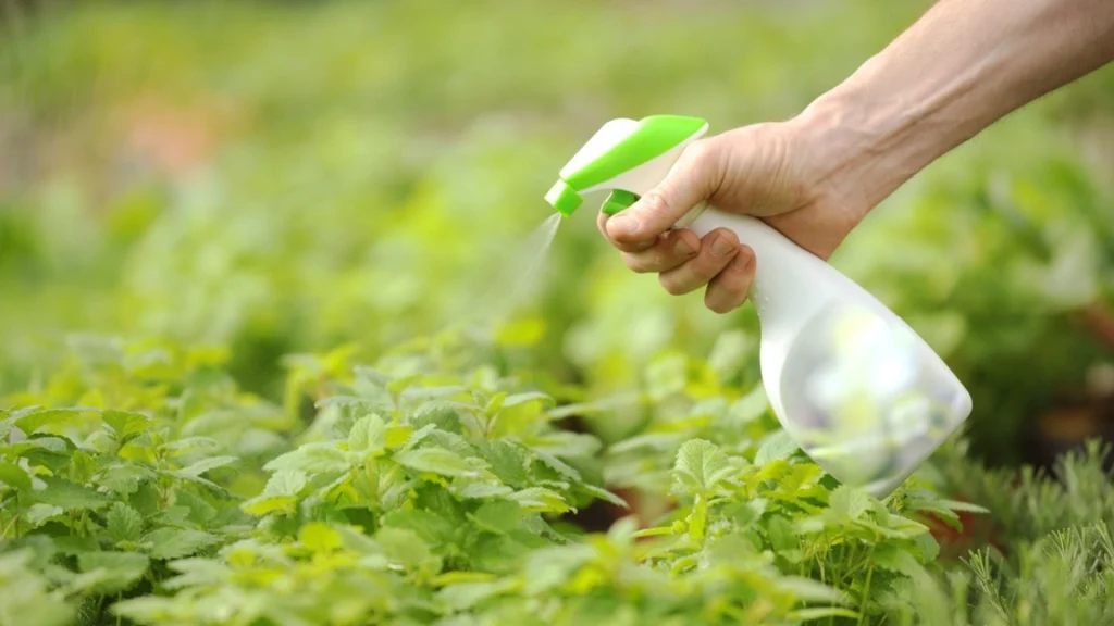 Landbrug er ikke hovedkilden bag farligt pesticide-stof: Det kommer fra et produkt, som mange bruger dagligt