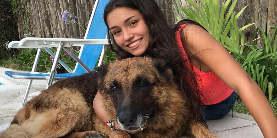 Pige tager billede med hund – få sekunder efter sker det utænkelige