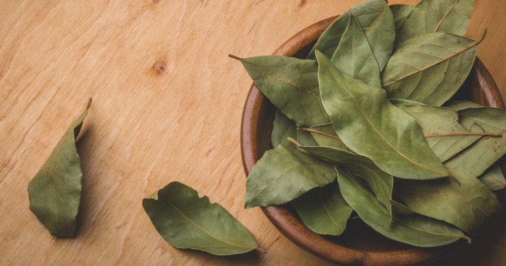 Hun lægger laurbærblade i toilettet. Når du ser grunden bag, vil du gøre det samme