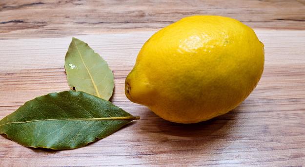 ‘Nyt’ simpelt trick vil vinde guld til OL. Tag en citron, stik et laurbærblad i den og se så magien ske.