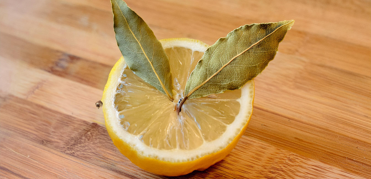 Tag en citron, stik laurbærblade i den og placer den i soveværelset. Morgenen efter vil du takke dig selv.