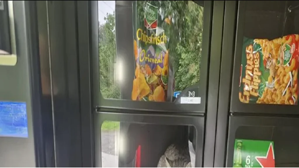 Mand træder ind i sin butik: Da han kigger ind i slikautomaten, løber det koldt ned ad ryggen på ham