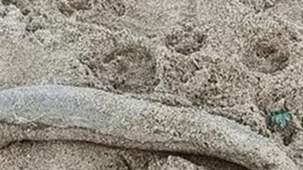 Mor og datter var på strandtur: Tabte kæben ved synet, der mødte dem