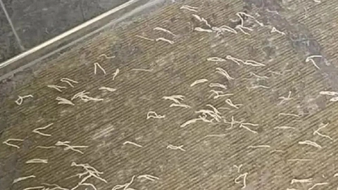 Mor fik sig et kæmpe chok, da hun så bagsiden af bademåtten: Så opdager hun, hvad det er