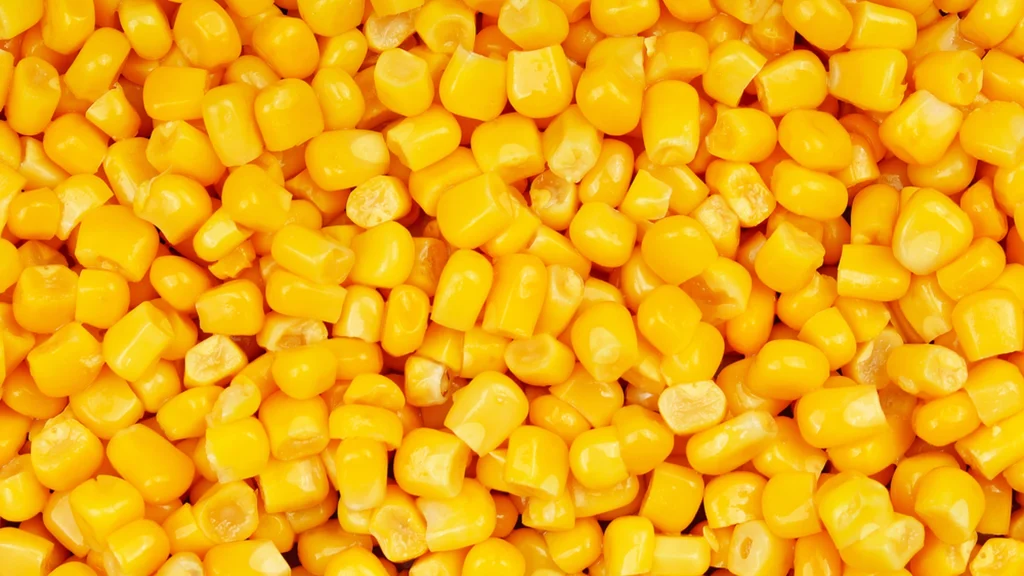 Kok forvandler almindelige dåsemajs til en gourmetret med én ingrediens
