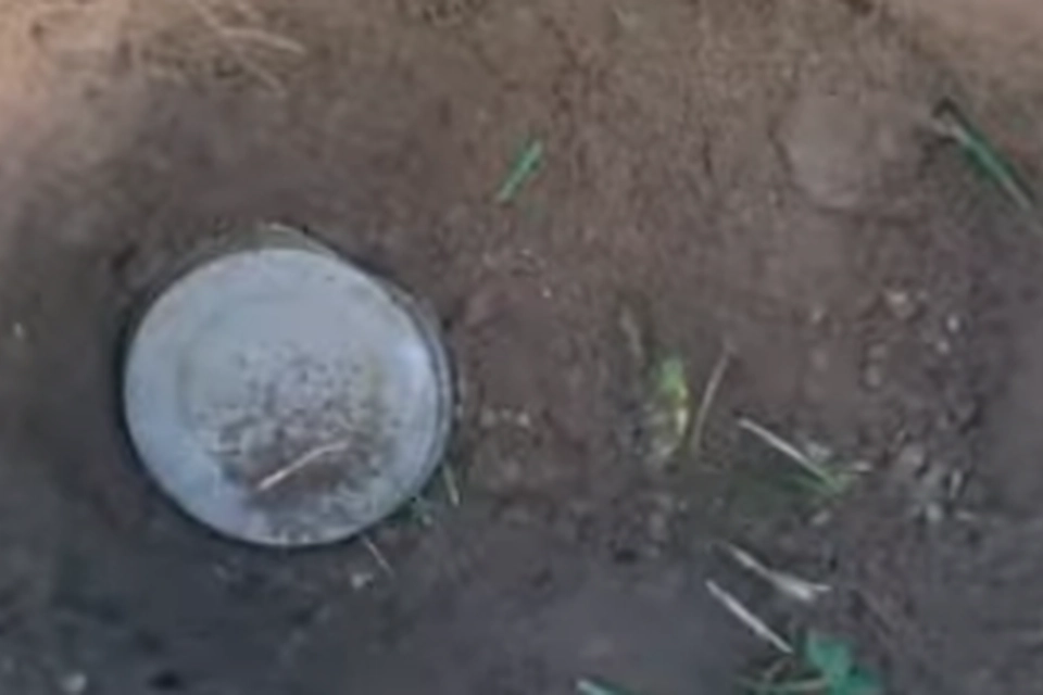 Smid ikke låget fra marmeladeglasset ud: Det er guld værd i haven