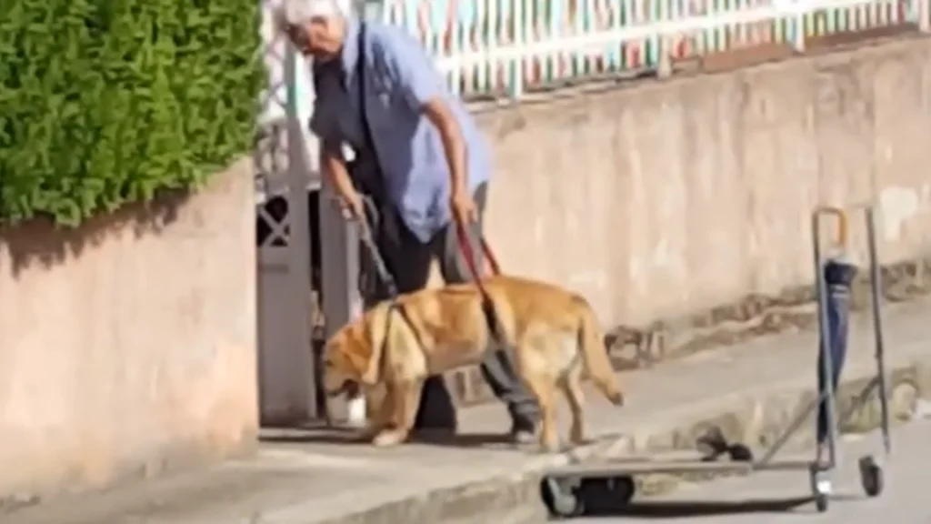 Mand ved ikke at han bliver optaget da han lufter sin hund: Videoen får dine øjne til at løbe i vand