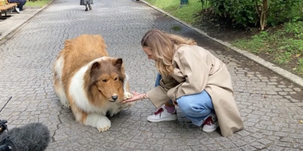 Efter at have brugt 100.000 kroner på at blive til en hund, tager japansk mand et nyt skridt i sit nye liv