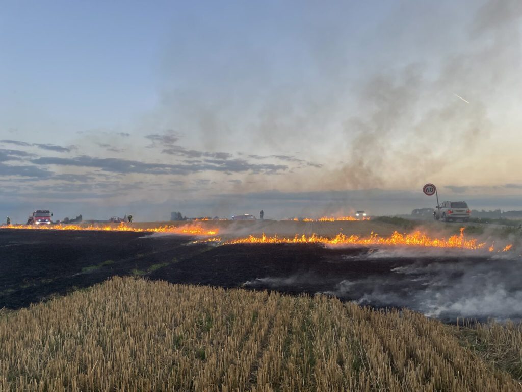 Mark i brand efter markræs