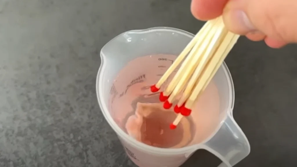 Genialt trick: Sådan kan tændstikker bidrage til sundere planter i hjemmet