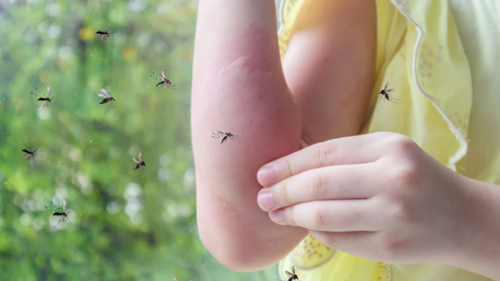 Næsten ingen er klar over det: Her er grunden til, at du er en myggemagnet