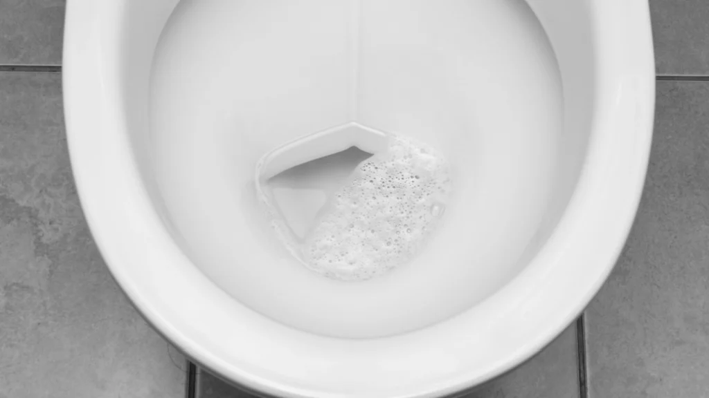 Forskere med banebrydende opfindelse: Kan revolutionere toilettet for altid