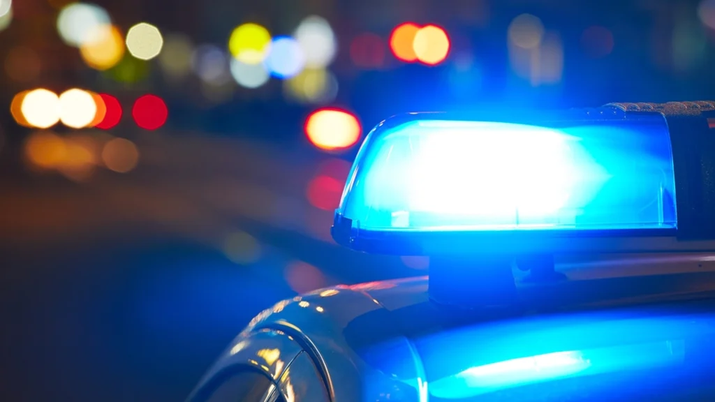 Passager overhørte en samtale på bustur: Så blev bussen standset grundet terrormistanke