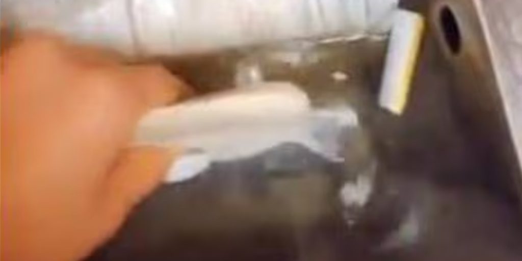 Video gik viralt: Medarbejder afslører, hvordan pastaret med ost laves i fastfoodkæde og ender med at blive fyret
