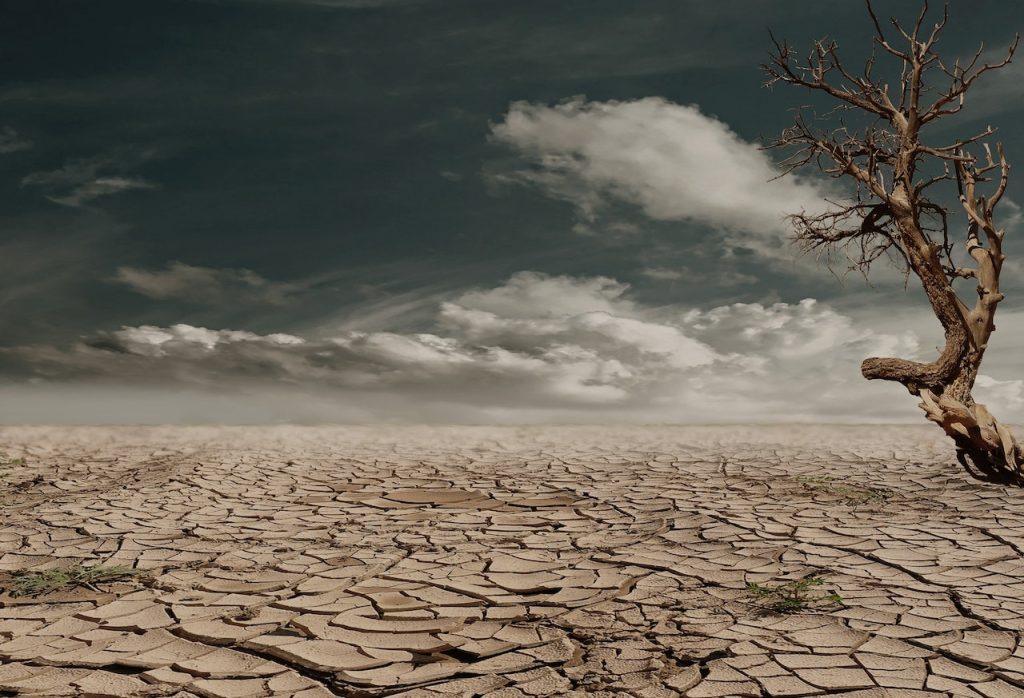 Tips til en mere klimavenlig kost
