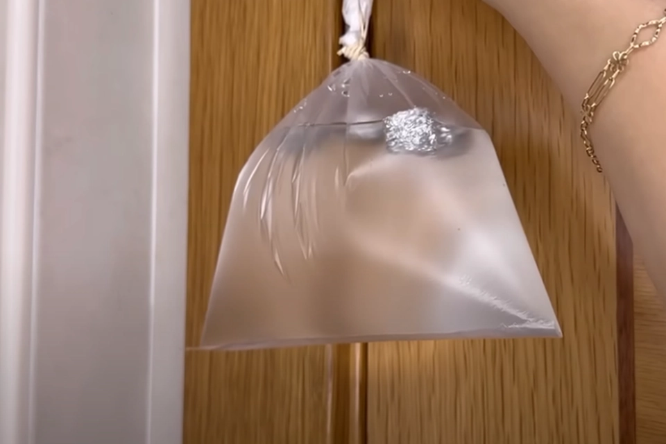 Hun opsætter en pose med vand og sølvpapir i køkkenet: Når du ser hvorfor, vil du gøre det samme