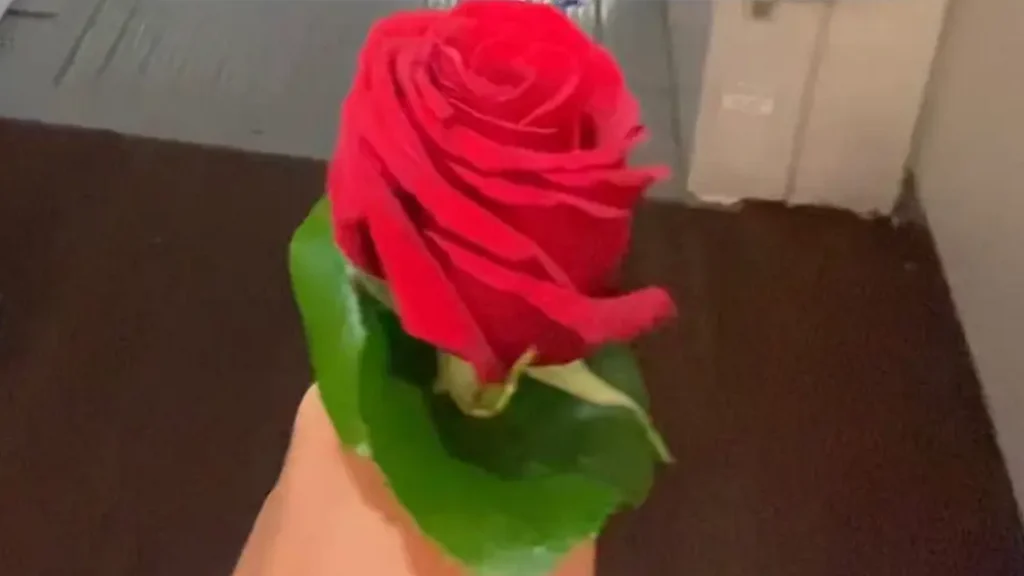 Qatar Airways gav rose til kvinde ombord på fly: Den skulle hun aldrig have taget imod