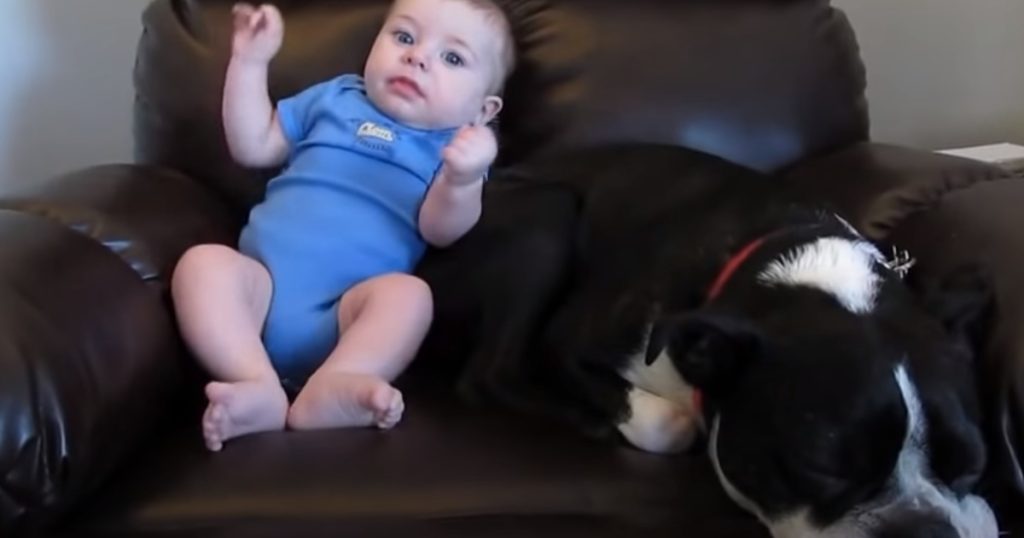 Baby slår en kæmpe prut – se så hvad hunden gør, da den får hele internettet til at grine