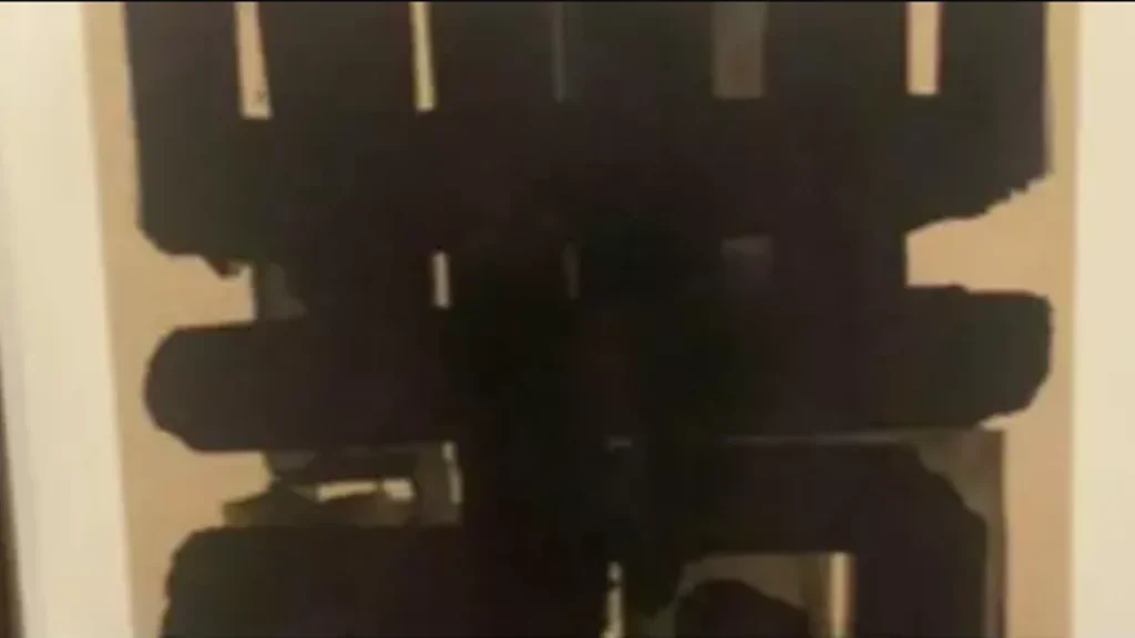 Sarah solgte et maleri på Facebook for 1.400 kroner: Dagen efter får hun en besked, som chokerer hende